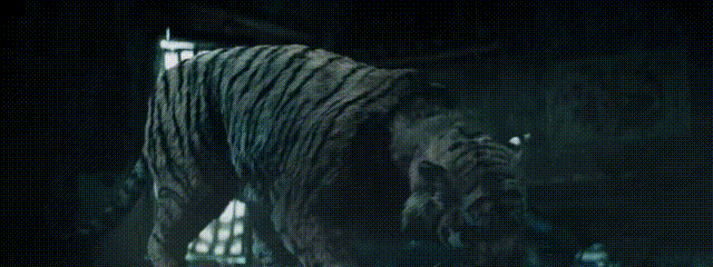 国产惊悚片市场萎缩_韩国论理电影在线观看_网络电影惊悚片兴起